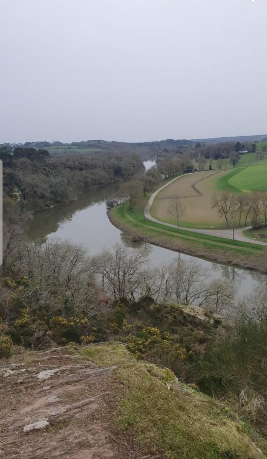 La Halte De La Vilaine Sainte-Anne-sur-Vilaine ภายนอก รูปภาพ